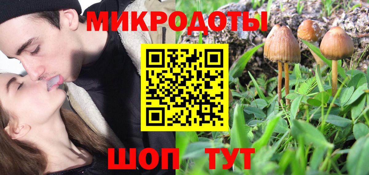 Галлюциногенные грибы Psilocybine cubensis Кисловодск